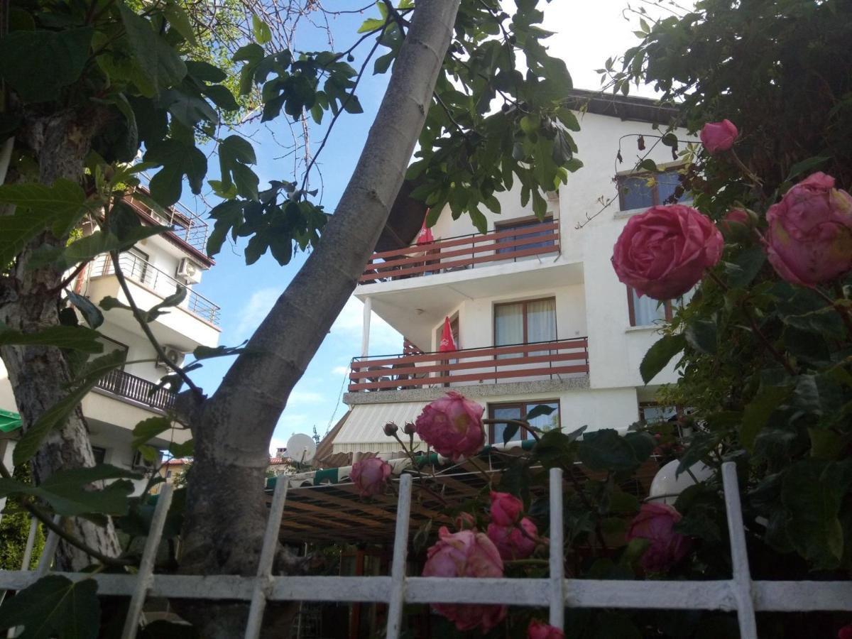 Guesthouse Oasis كيتن المظهر الخارجي الصورة