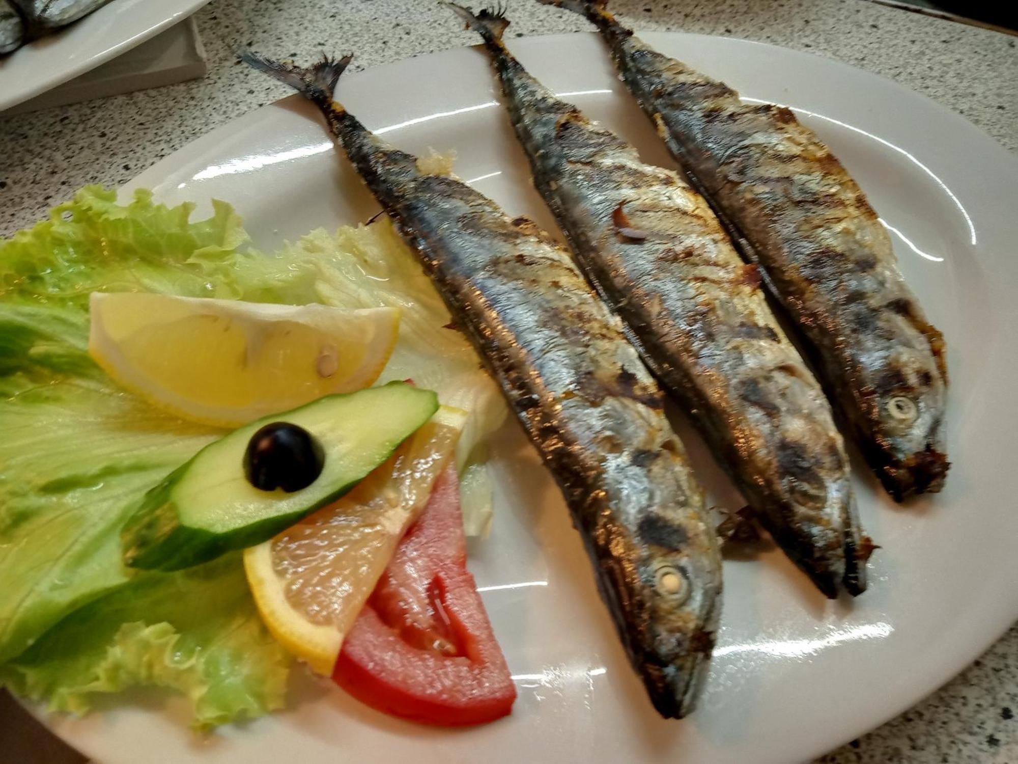 Guesthouse Oasis كيتن المظهر الخارجي الصورة