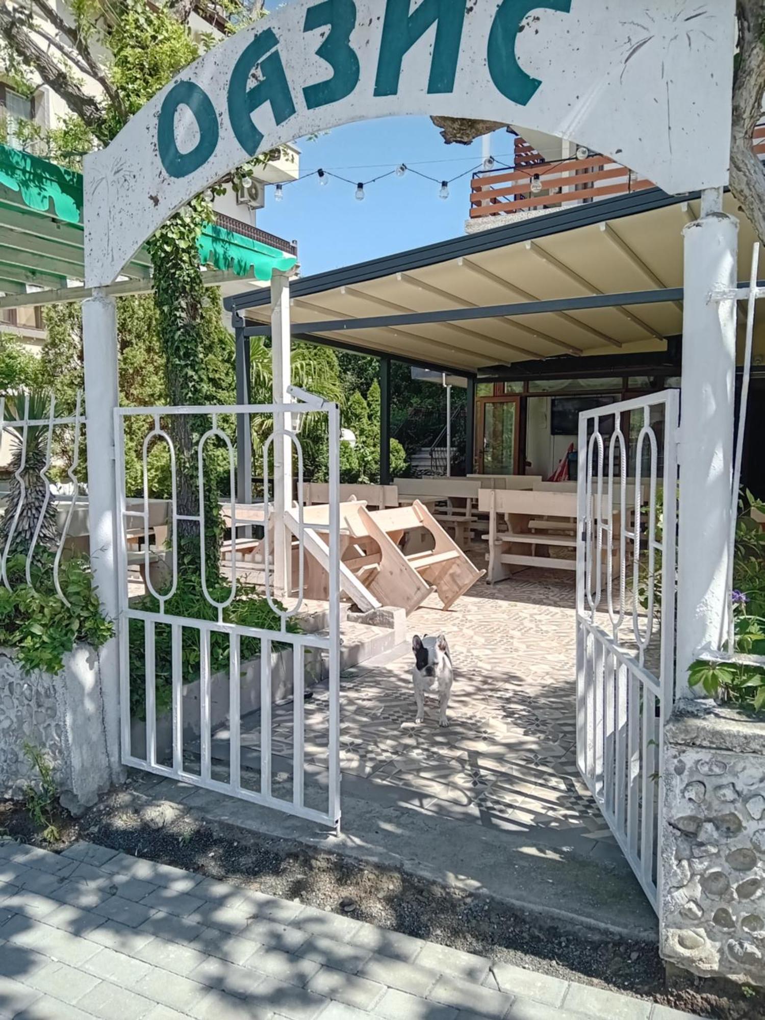 Guesthouse Oasis كيتن المظهر الخارجي الصورة