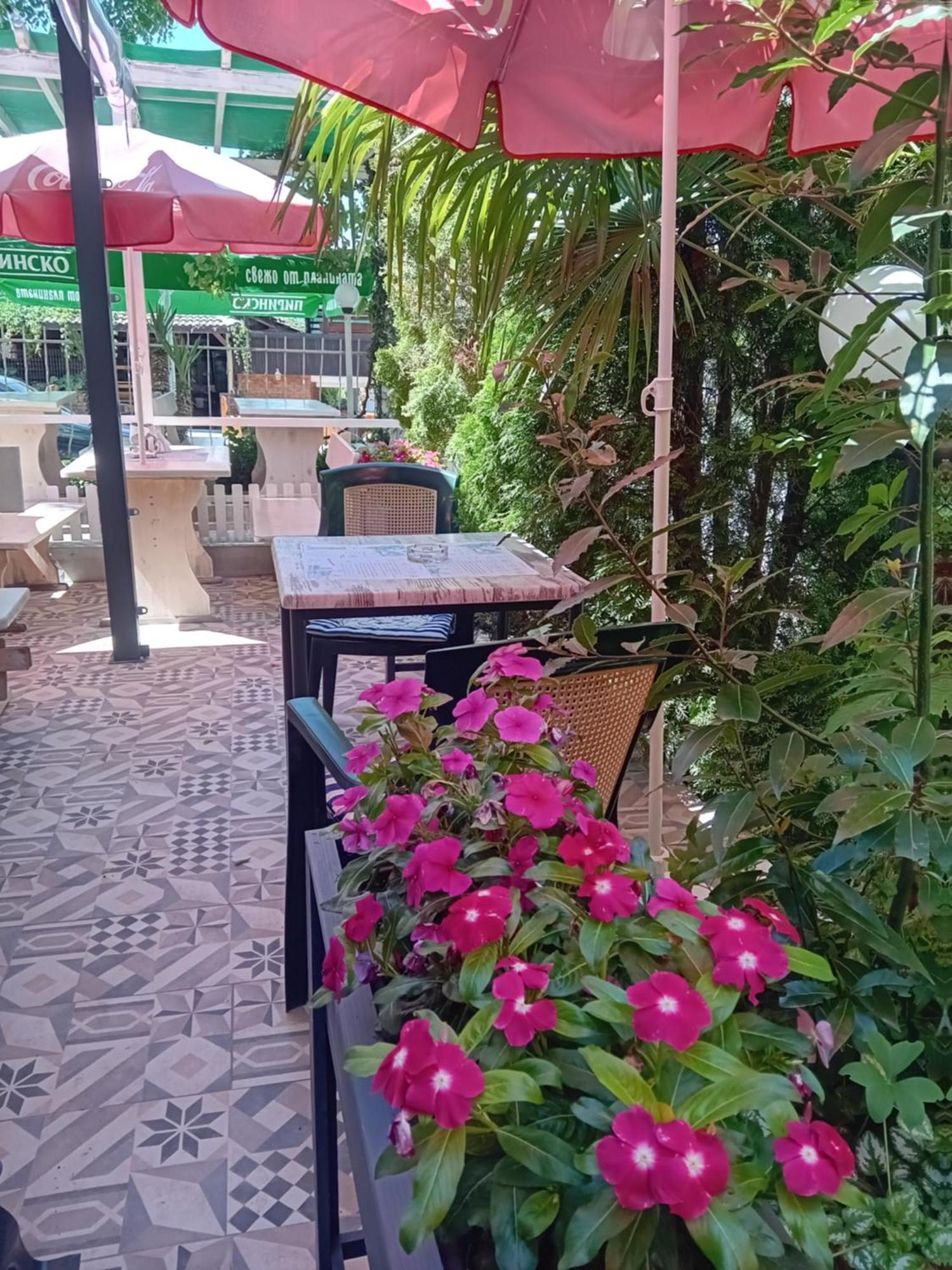 Guesthouse Oasis كيتن المظهر الخارجي الصورة