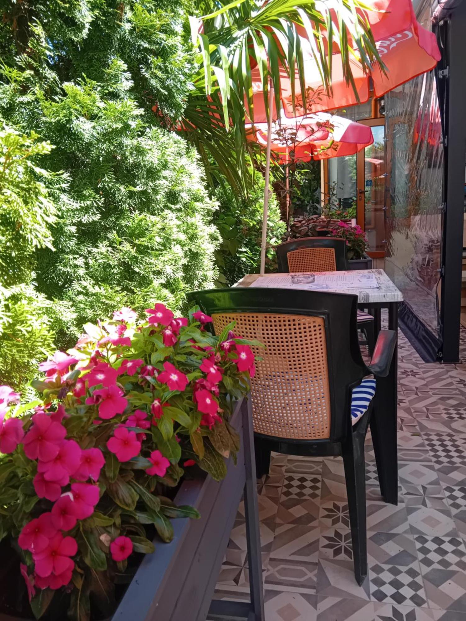 Guesthouse Oasis كيتن المظهر الخارجي الصورة